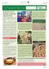 GZ Nikolsdorf_ 6 Ausgabe GZ Juli 24-page29.jpg